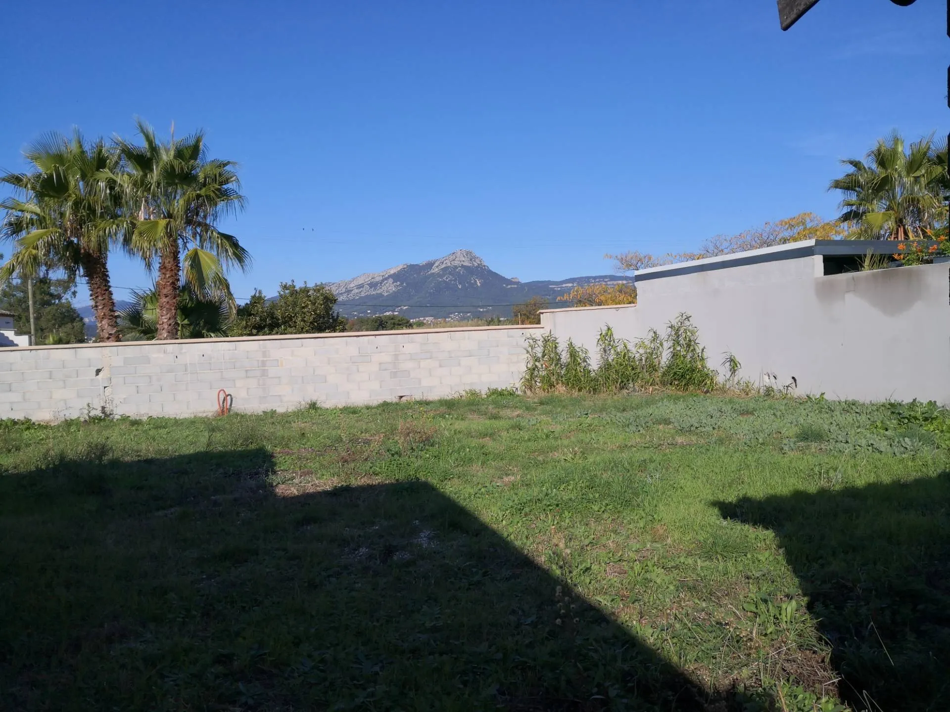 local commercial à Carqueiranne (83320) — photo 2